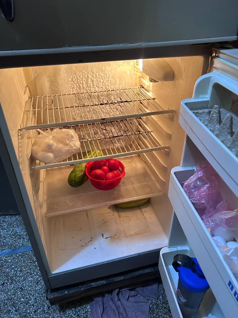 Haier freezer 1