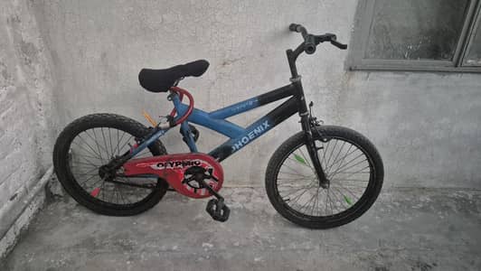 20 inch cycle in cheap fix price