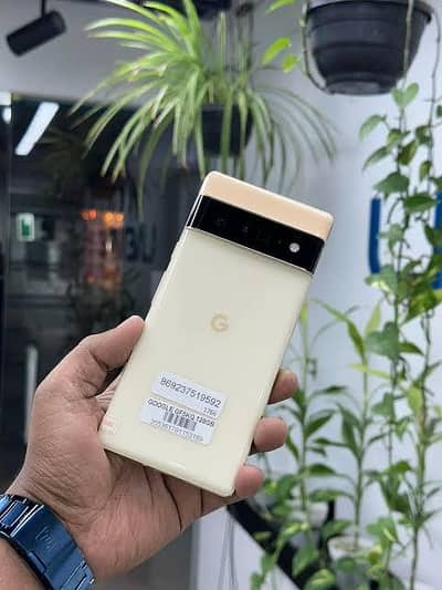 Pixel 6 pro