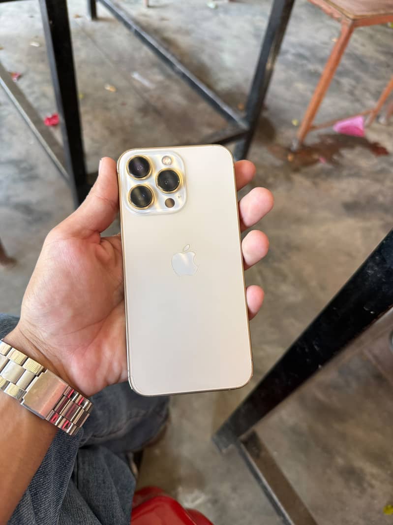Apple iPhone 13 Pro 0