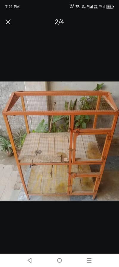 Budgies cage and clay pots
