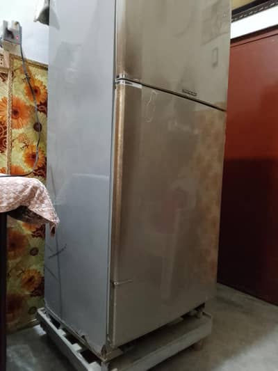 Pel Fridge