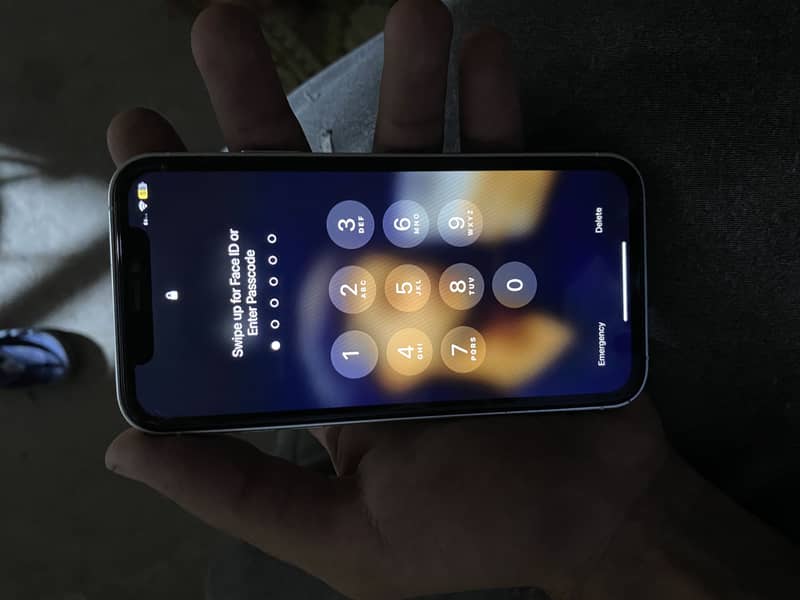 Apple iPhone 11 2
