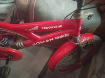 Roman cycle