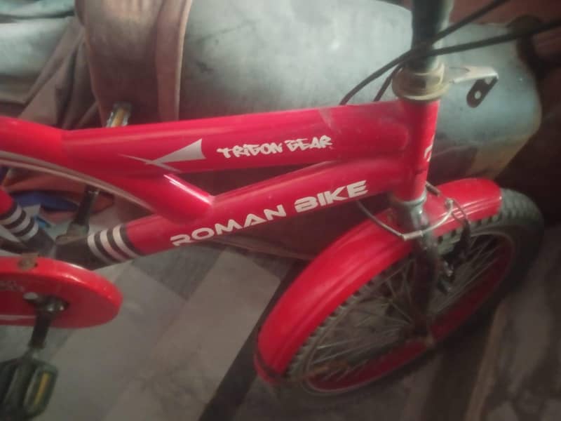Roman cycle 0