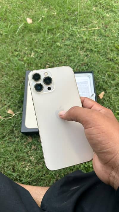 Apple iPhone 13 Pro Max  10 by 10