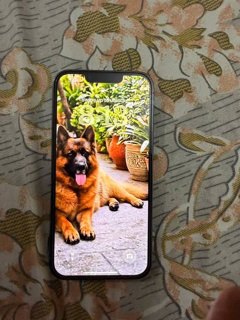 Apple iPhone 13 Pro 2