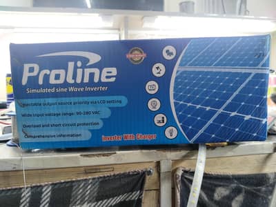 Proline 1000watt 12V