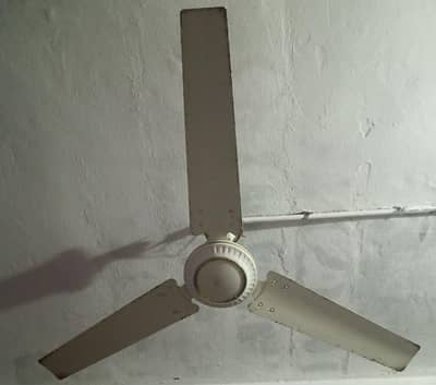 dc fan