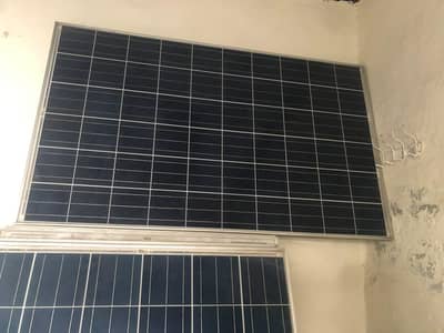 265w yangli solar plate for sale bilkul saf plate han
