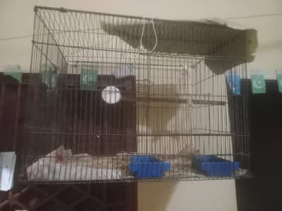 Cage (0312 4519351)