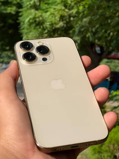 Apple iPhone 13 Pro