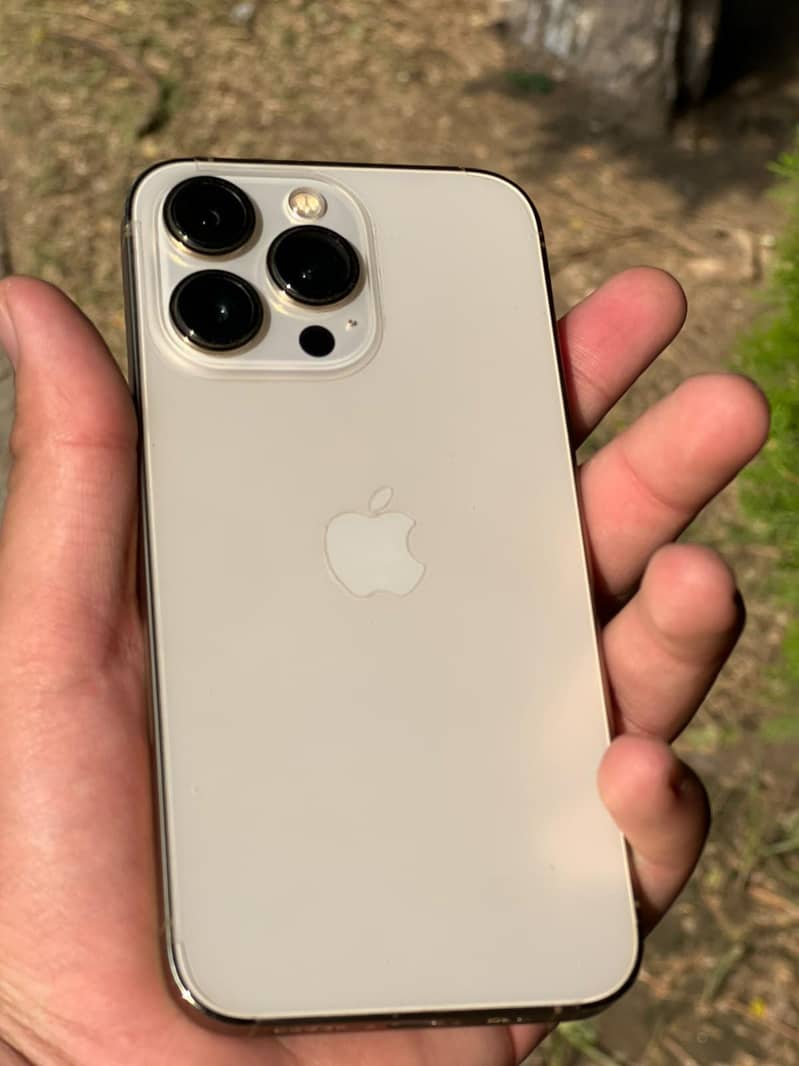 Apple iPhone 13 Pro 1