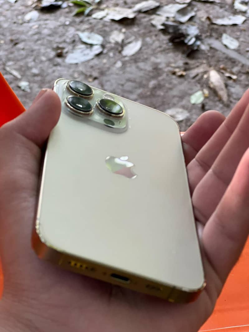 Apple iPhone 13 Pro 2