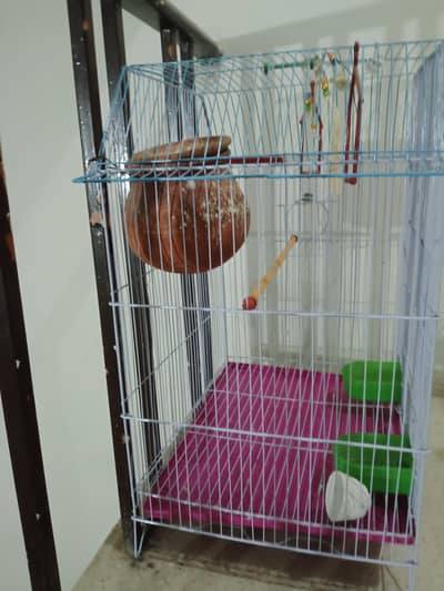 birds cage