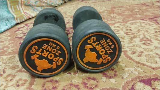 6 KG DUMBELL [MINOR PEELING, BUT 100% SAFE AND EASY TO USE]. SPORTZONE