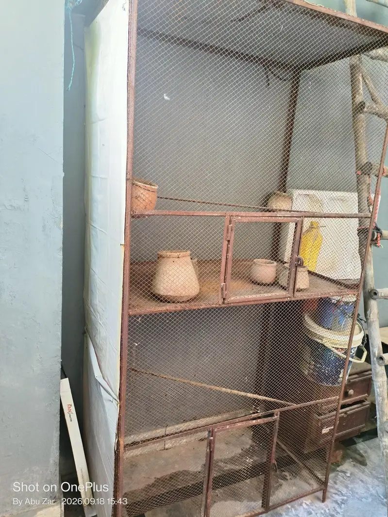 Cage for birds + Hens — photo 2