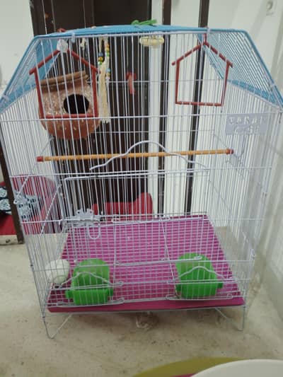 birds cage