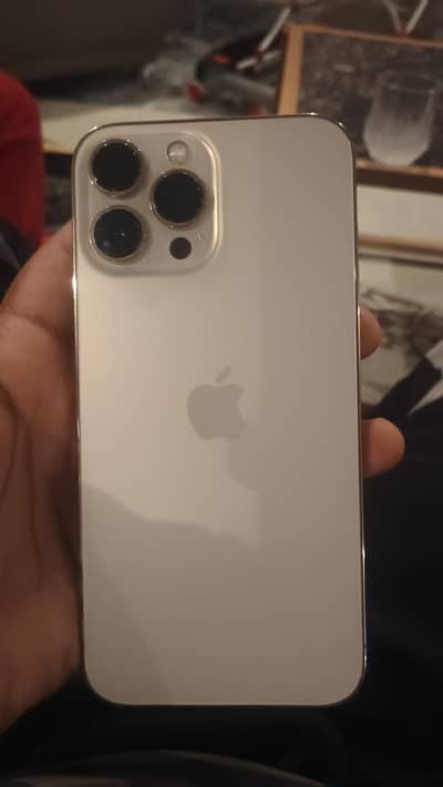 Apple iPhone 13 Pro Max