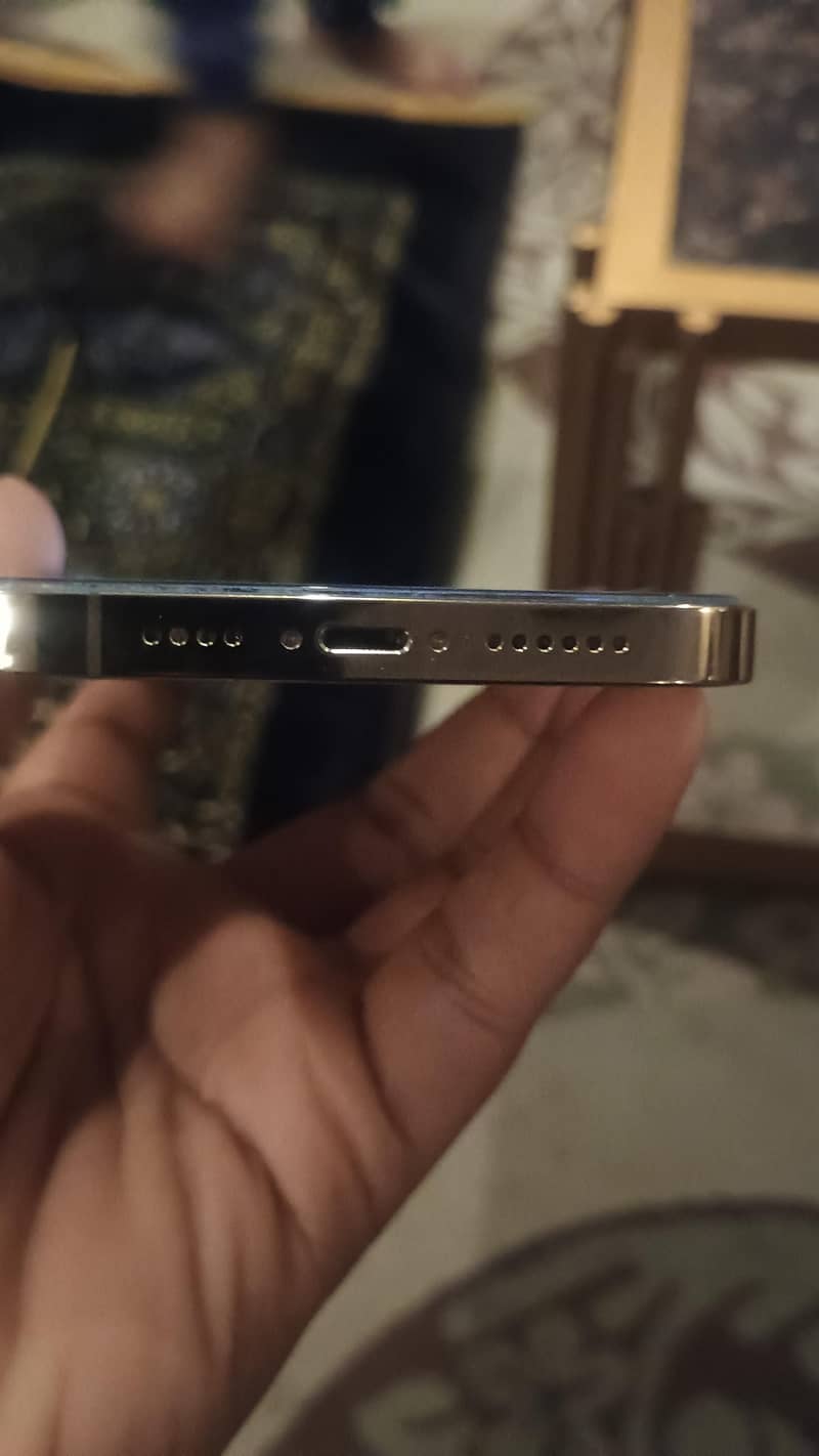 Apple iPhone 13 Pro Max 1