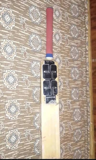 bilkul theek condition h 10/9 h  hard ball cricket kit