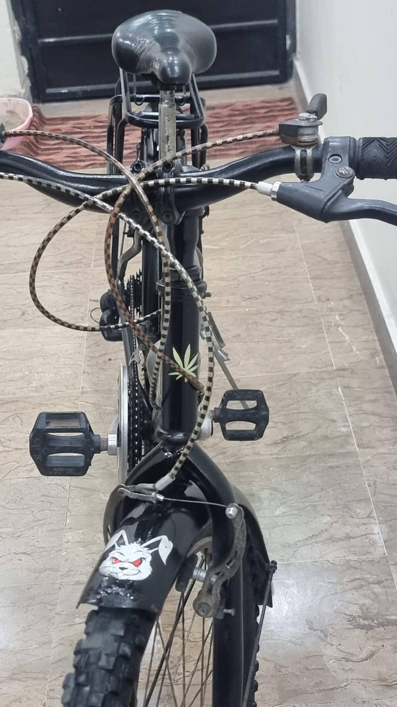Geared cycle 6