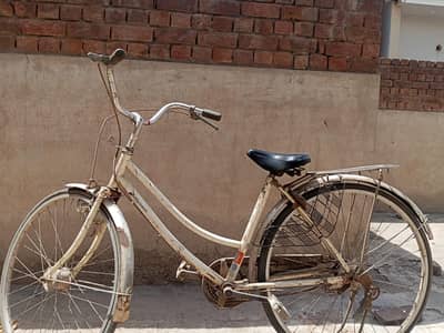 Vintage style roadster bicycle for sale