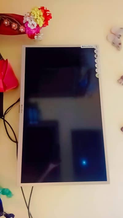 LED TV EcoStar