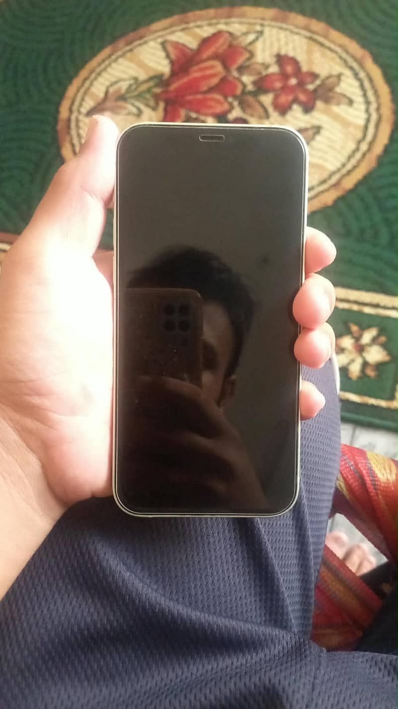 Apple iPhone 12 1