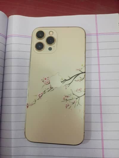 Apple iPhone 12 Pro Max non pta 128 Gb back change