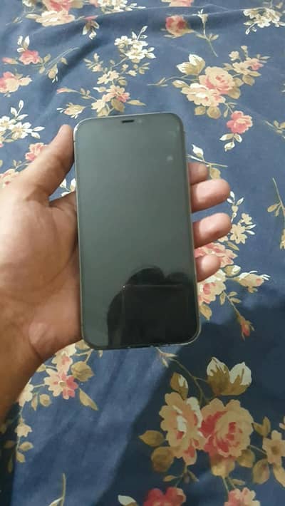 Apple iPhone 12 Pro