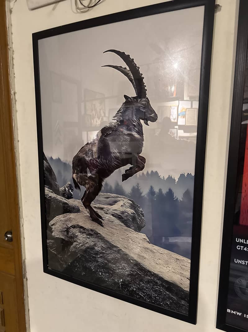 Wall art Decor 3
