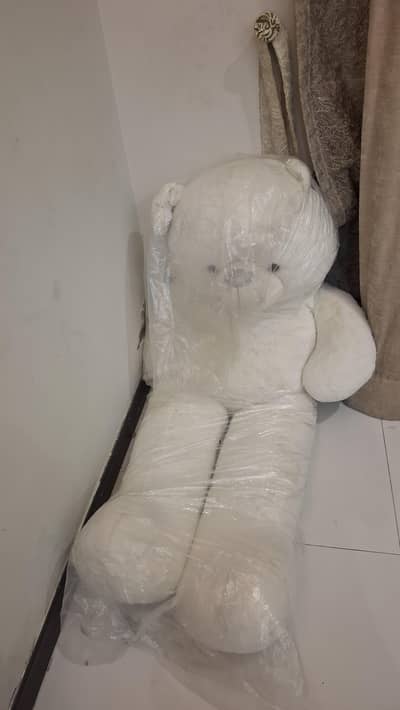 teddy bear