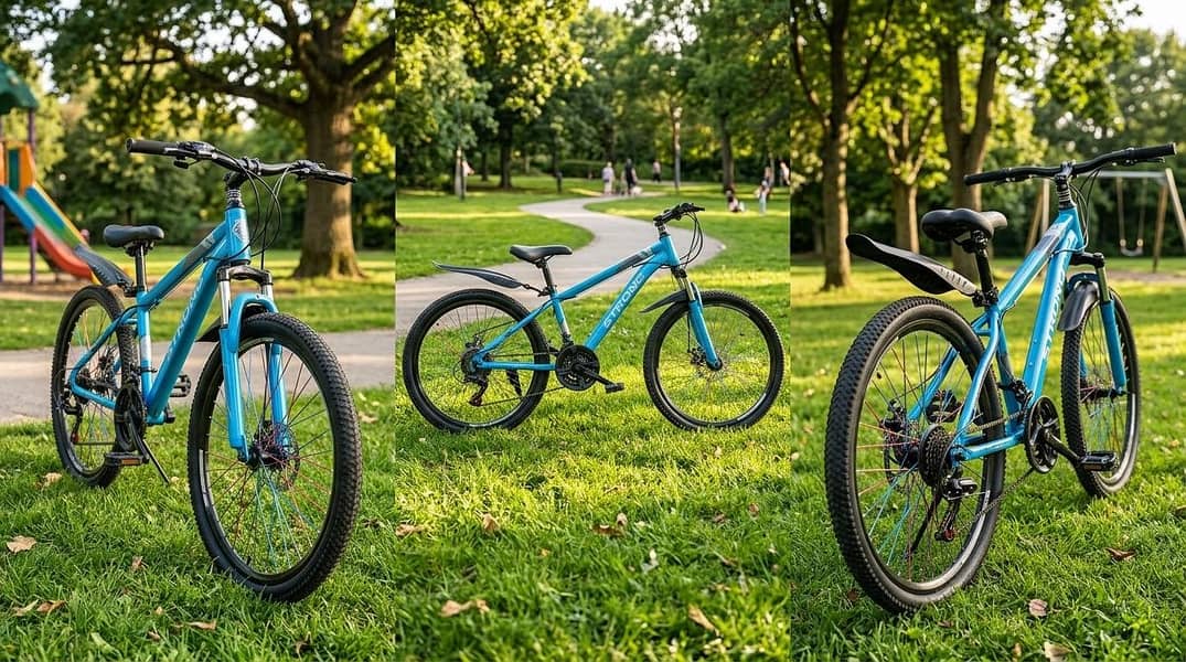 cycle 2