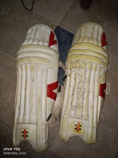 cricket pads