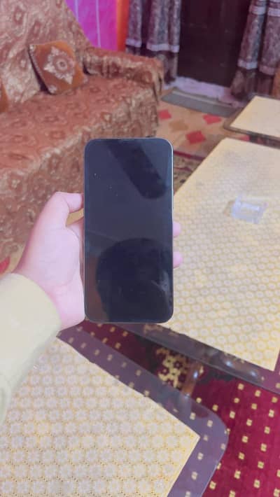 Apple iPhone 13 Pro Max non pta