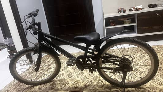 Japanese cycle