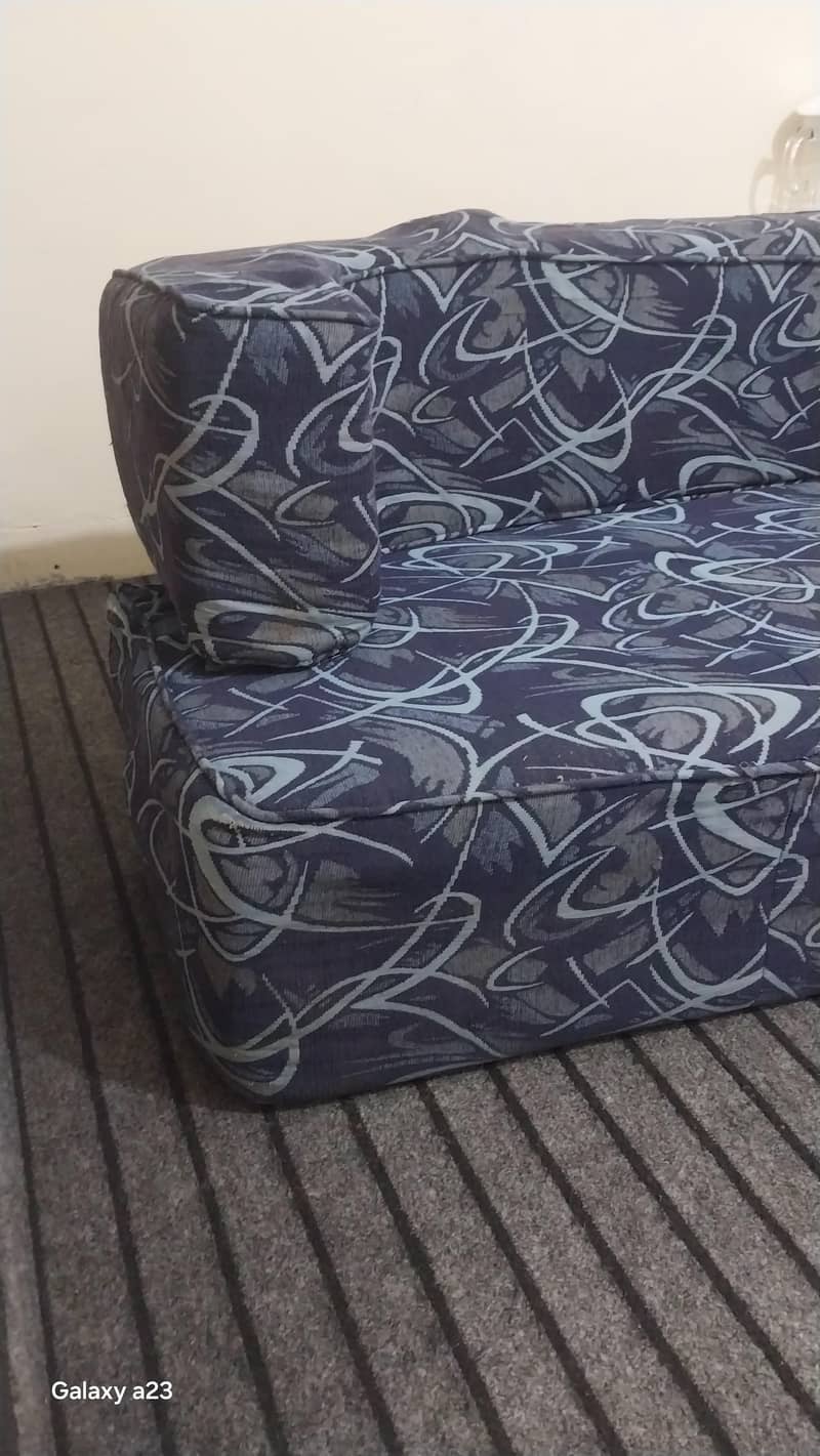 Sofa cum bed 1