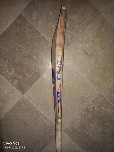 cricket bat