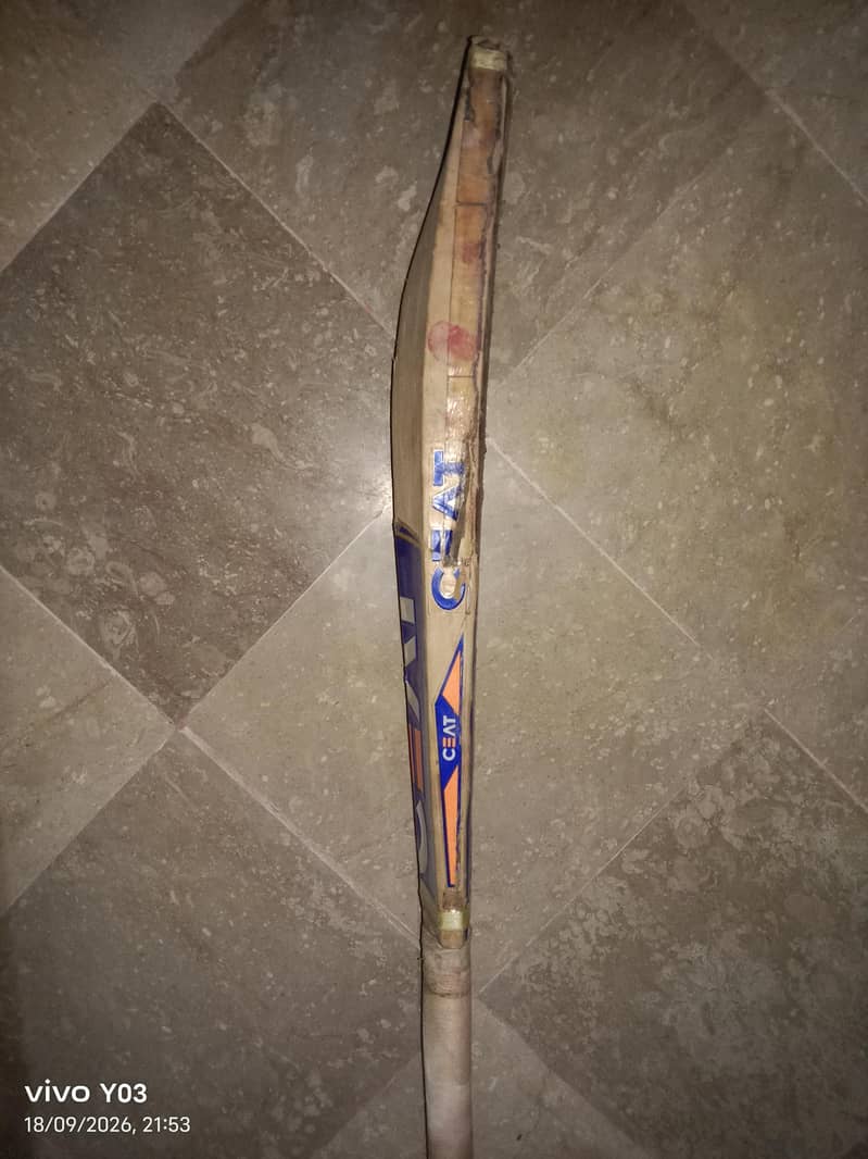 cricket bat 0