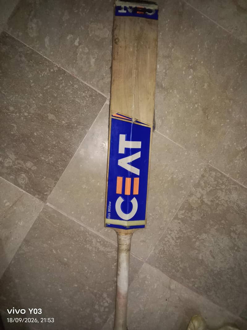 cricket bat 1