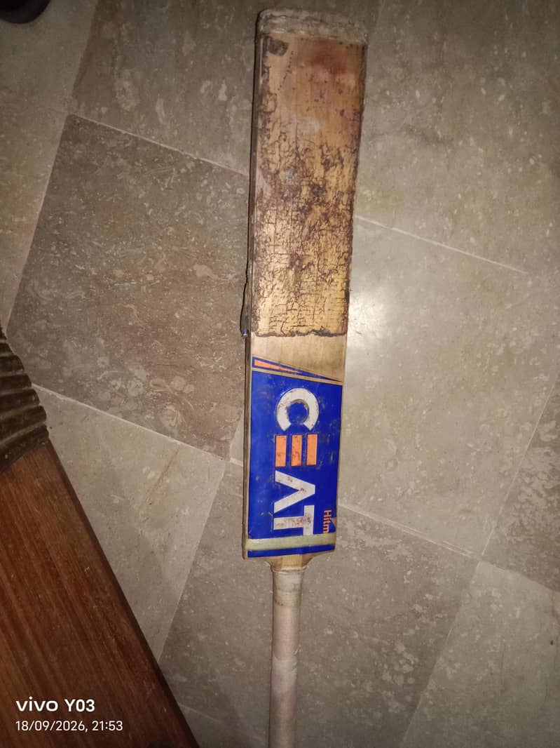 cricket bat 2