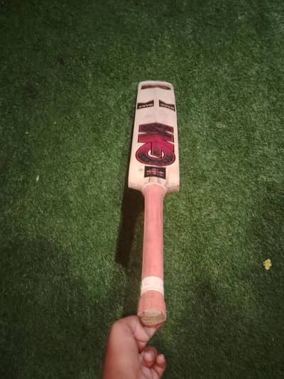 cricket bat