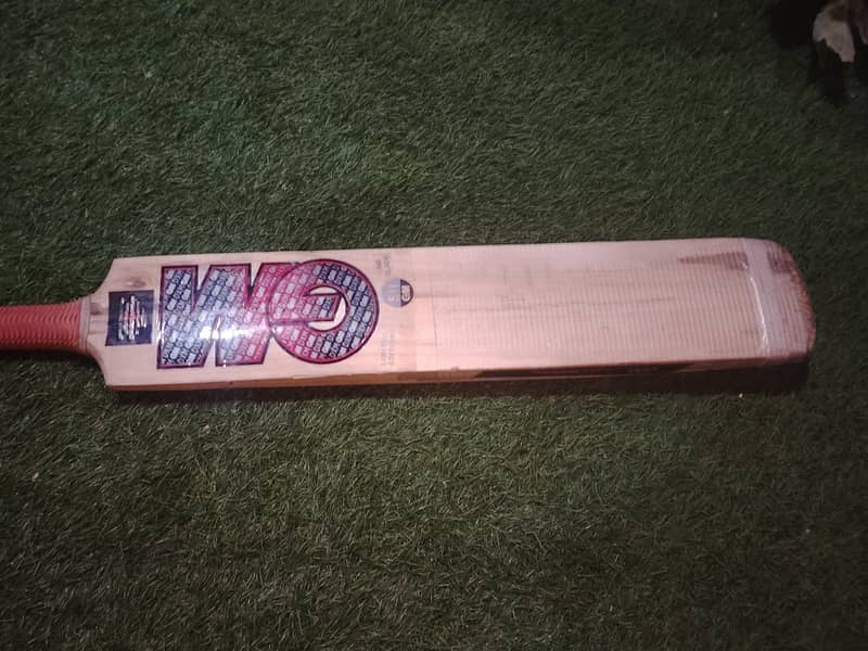 cricket bat 1
