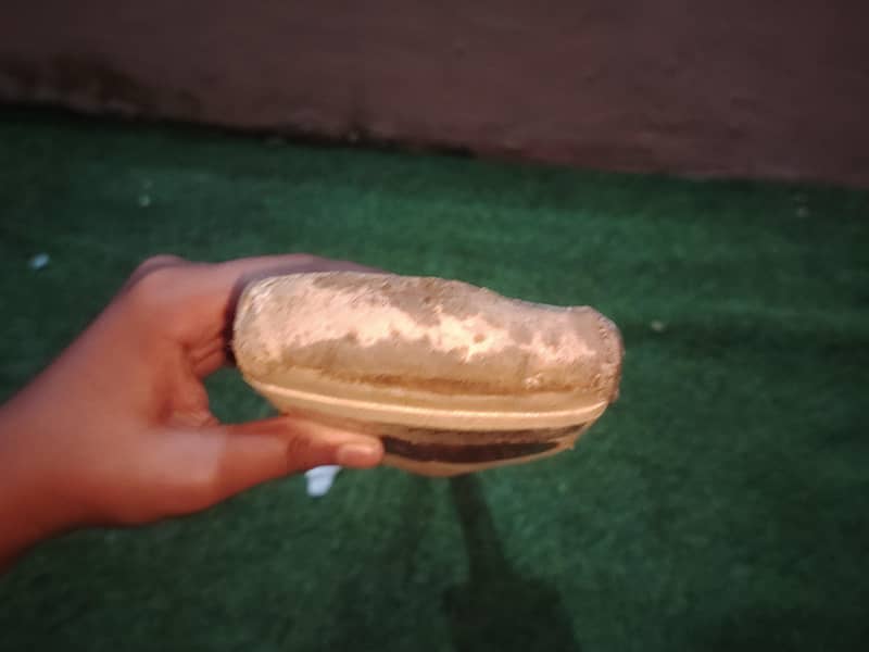 cricket bat 2