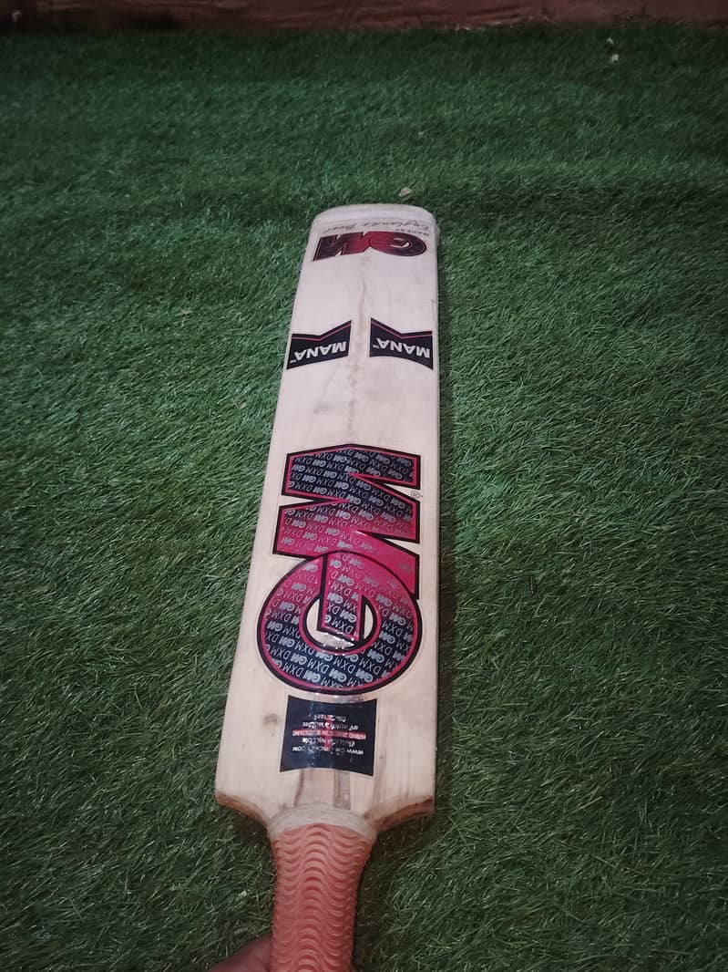 cricket bat 5