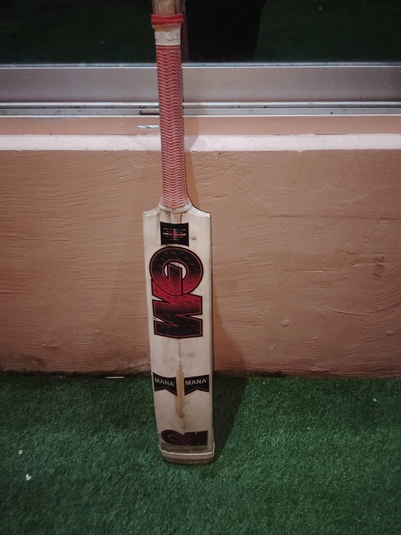 cricket bat 8