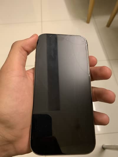 Apple iPhone 16 Pro