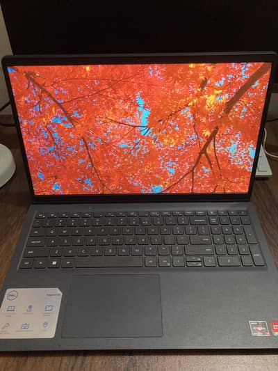 DELL Inspiron 15 3525 | Ryzen7 8/256gb 120hz Panel