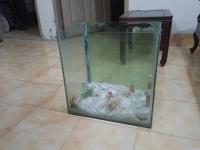 1.5 feet minimal Aquarium